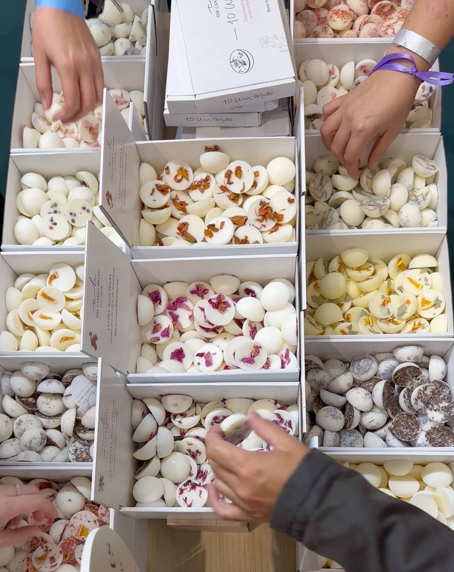 All Wax Melts
